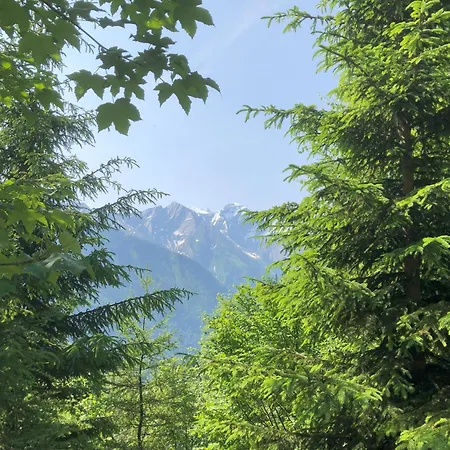 Nr 2 Haus Voglreiter * Капрун