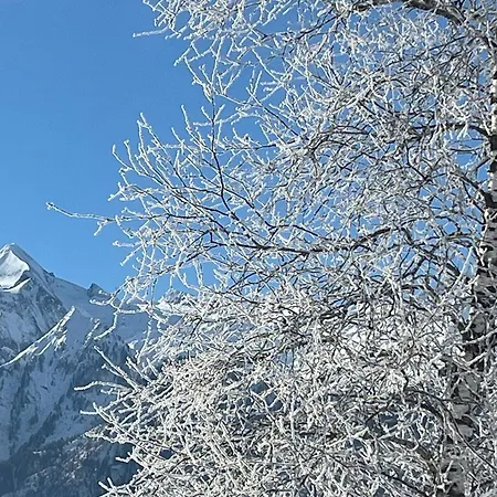 Nr 2 Haus Voglreiter Капрун