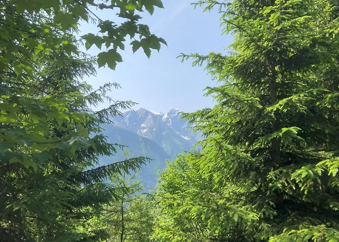 Nr 2 Haus Voglreiter * Kaprun