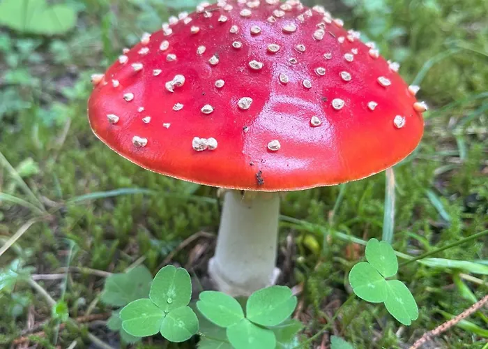 Apartmán Nr 2 Haus Voglreiter Kaprun